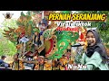 Viral Tiktok❗️ PERNAH SERANJANG - Voc. NuNu | Singa Depok Putra Pai Muda (PPM) | Mundu - Cirebon