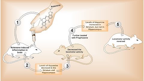 How to make a graphical abstract using ChemDraw ? || Graphical abstract of Research ||