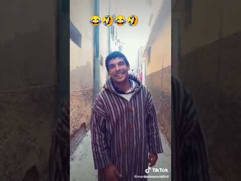 استغلال أجسام البغال و عقول العصافير