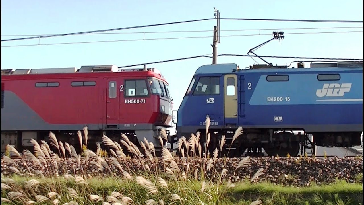 hq720.jpg?sqp=-