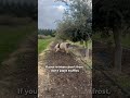No Frost = No Truffles (Don’t Ignore This)