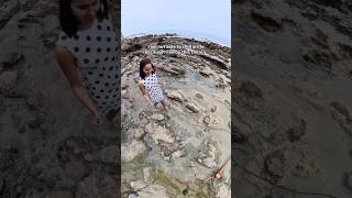 #chill #funny #life #lifestyle #traveling #interestinglife #california #beach #vlog
