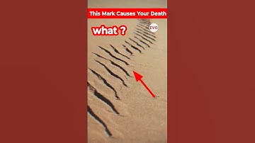 Why This Mark Causes Your Death in Desert ? | EVO Facts #ytshorts #shorts #evofacts