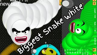 Worm Zone- snake Worm Crawl 2020- Worms Zone Best Gameplay! # 50 screenshot 3