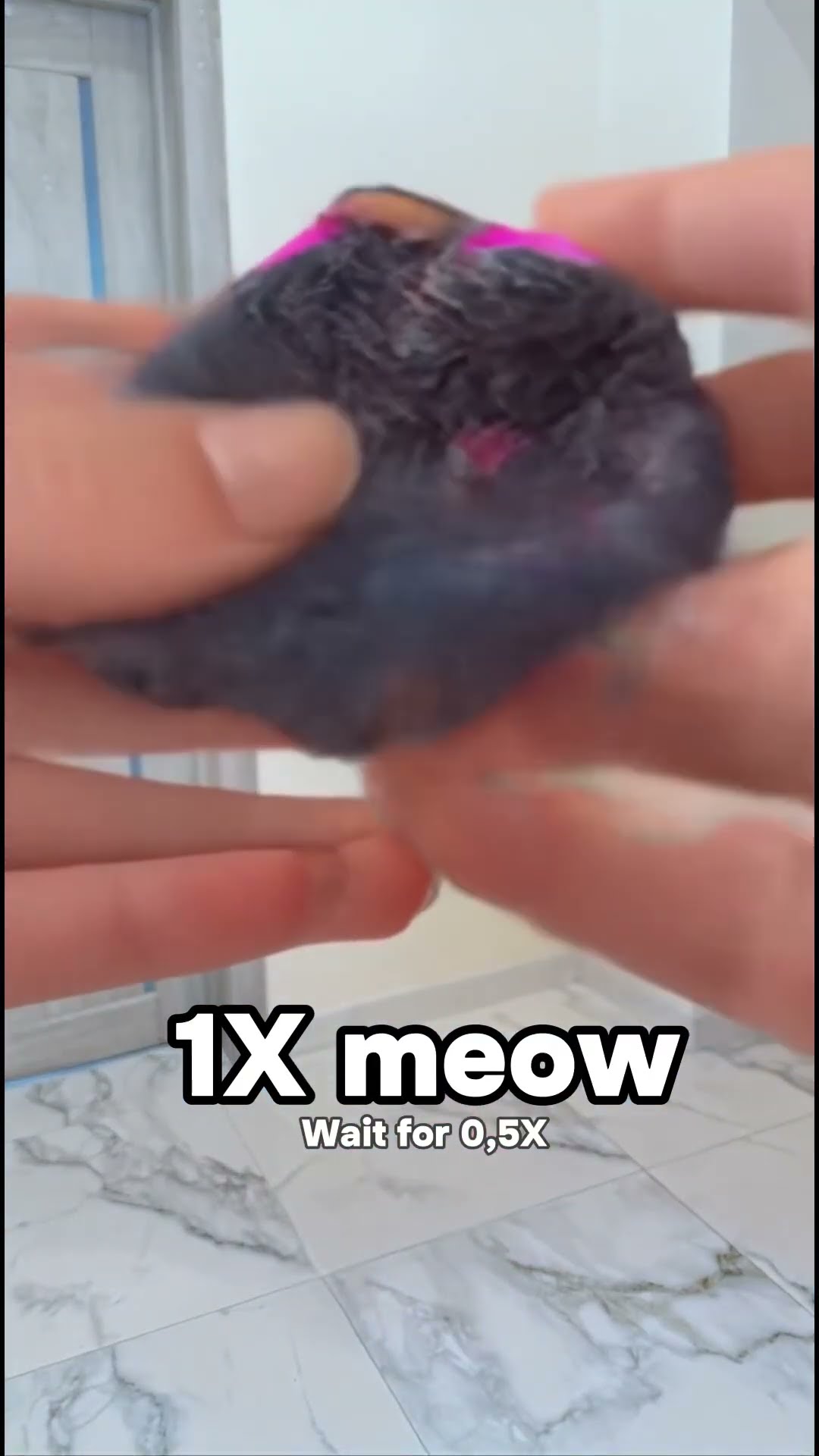 Wait For The Last One Meow #katebrush #shorts #viral