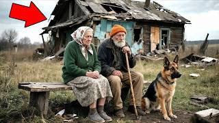 Abandoned by their children – elderly couple turns a dilapidated mountain cabin into a paradise