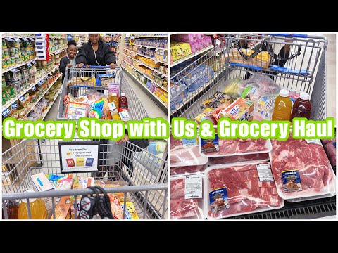 GROCERY SHOPPING VLOG GROCERY Haul Food Lion Haul Under 140