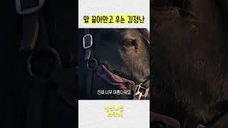 깊은 교감은 말을 사람으로 만든다