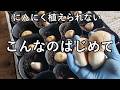 【2026 10】野菜は自分で作ってください。直ちに作ってください。