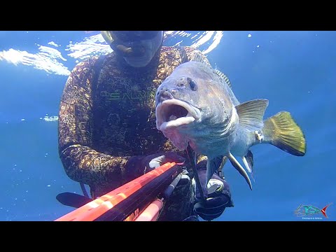 pescasub | CORVINA