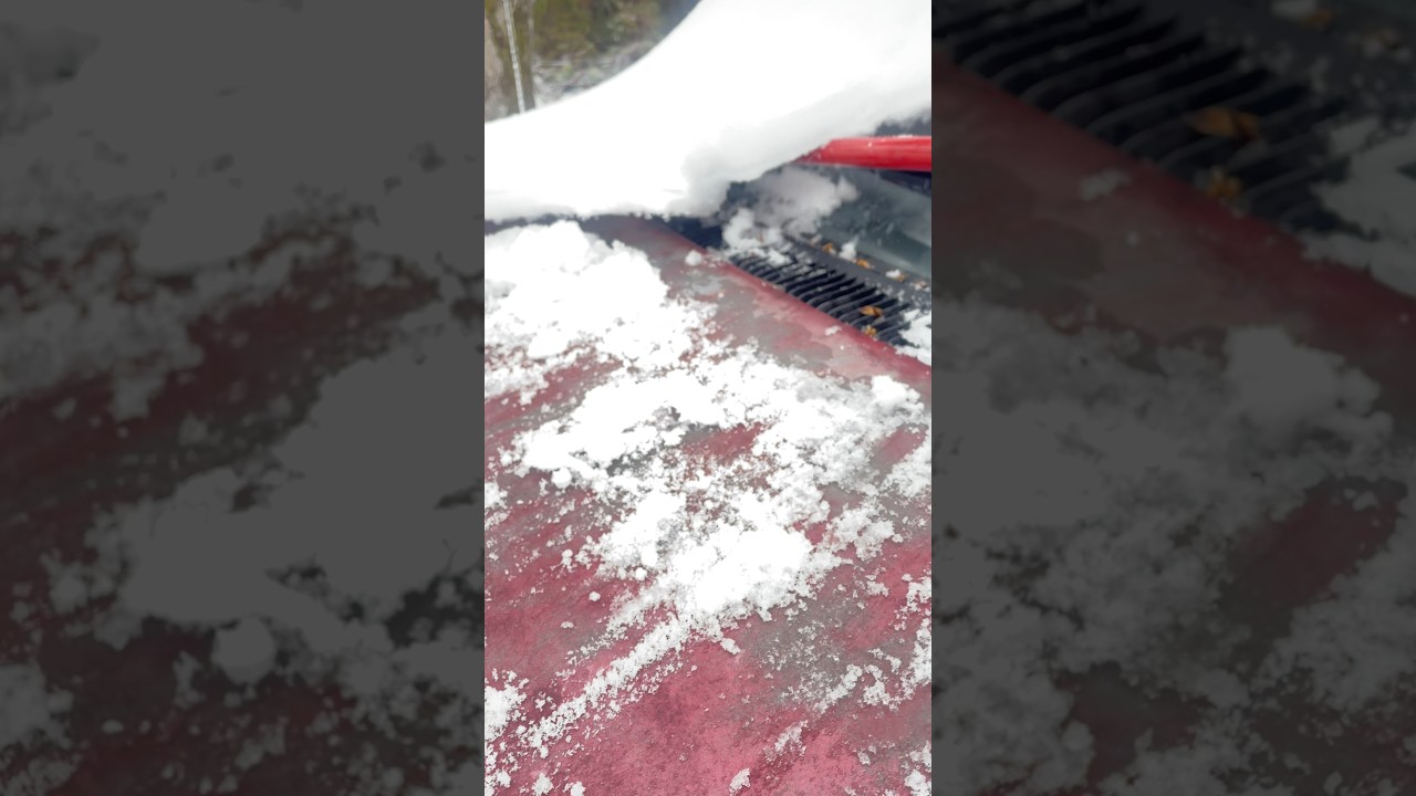 Сколько снега и льда? Весь до единого!!