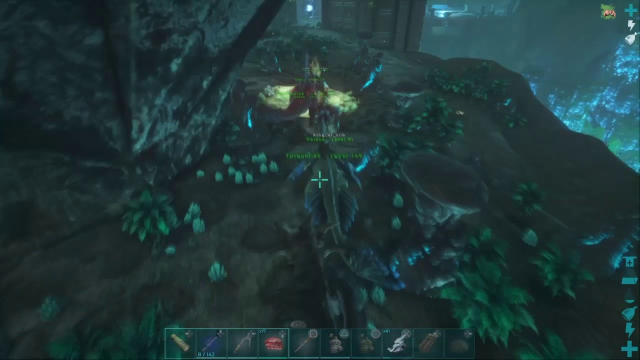 We are Black Signus *