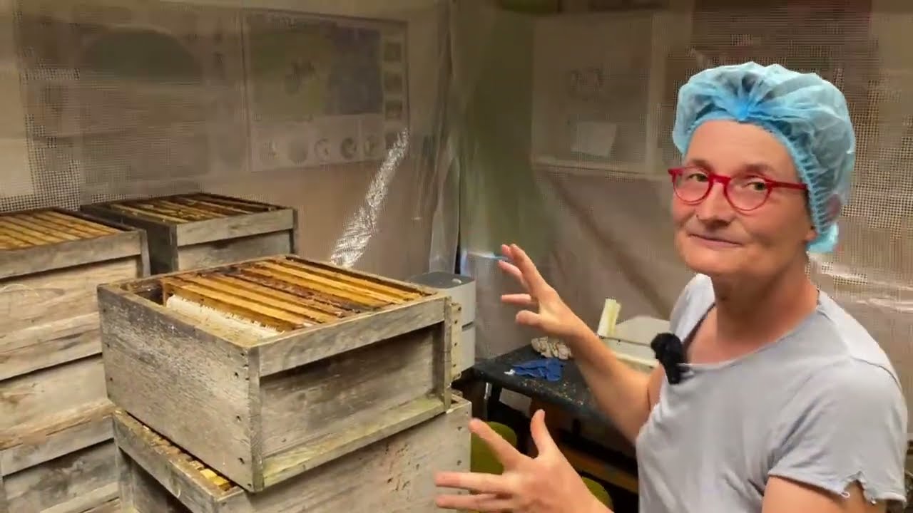 Live von Pias Bienenstand - 19.06.2023 - Honigernte!
