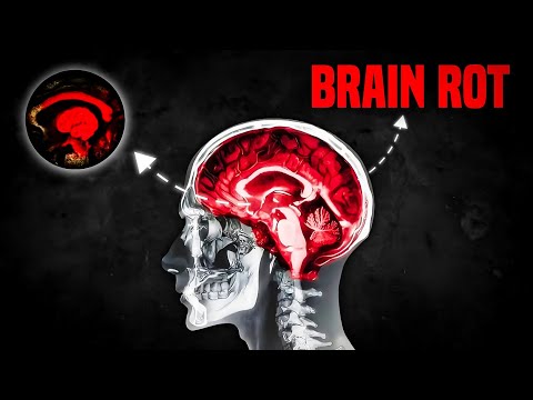 Your Brain Is Not Made For This ( Brainrot) ||