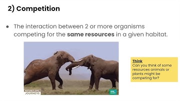 Ecosystem Interactions