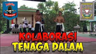 Info PSHT terbaru❗2 Organisasi adu kesaktian PSHT vs MERPATI PUTIH