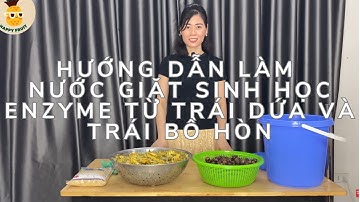 HƯỚNG DẪN LÀM NƯỚC GIẶT SINH HỌC ENZYME ĐƠN GIẢN TỪ TRÁI DỨA VÀ TRÁI BỒ HÒN TẠI NHÀ ll HAPPY FRUIT