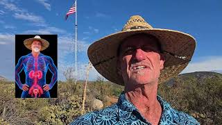 Daves Kidney Comeback Website Promo