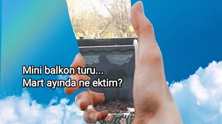 Mini Bir Balkon Turu Balkonumda Yenilikler Ne Ektim?