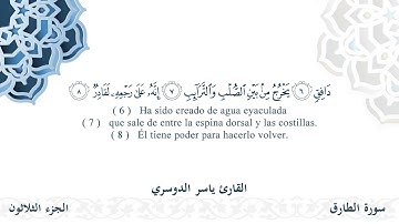 سورة الطارق - القارئ ياسر الدوسري | مشروع #100ختمة