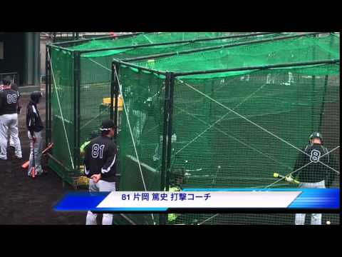 阪神タイガースキャンプ038 沖縄 81 片岡篤史打撃コーチ 福留を温かく見守る