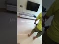 @aakashkumar46#youtubeshortsvideos#how make your floor polish work#modernluxuryhomedesgin#home#