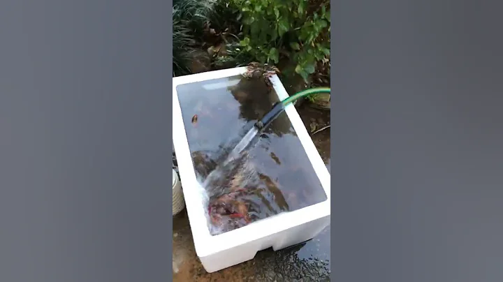 Crawfish prep