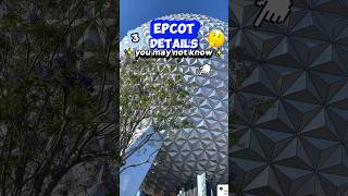 You SHOULD Know This About Epcot 👀😮 (Hidden Details & Park Tips)