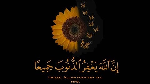 قران كريم | سورة الزمر | القارئ سمير عزت | تلاوة خاشعة😌❤️ | حالات واتس اب قران
