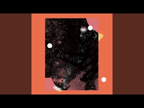 D.D Dumbo — Oyster