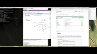 Full hostintel Introduction News