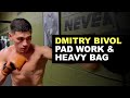 DMITRY BIVOL PAD WORK &amp; HEAVY BAG 🥊