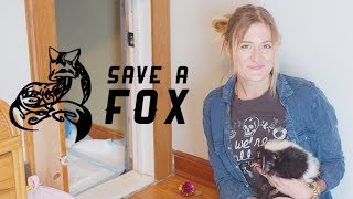 SaveAFox saves a Skunk from across the country!!