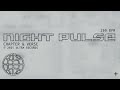 Chapter & Verse - Night Pulse [Ultra Records]