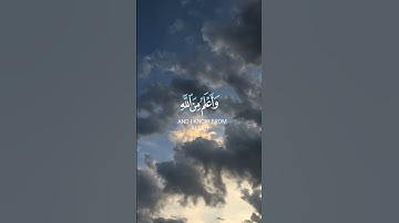 صلي على النبي #القرآن_الكريم #تلاوات #تلاوة #القرآن #قران_كريم #تلاوة_خاشعة #تلاوة_هادئة #شورت