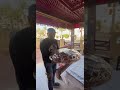 وصل العرض الجديد ( صينيه البطوله )  من خالد و أخوته للاسماك الطازجة 😋