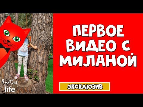 Показал лицо Red Kitty Миланы | Канал RedCat life | Подписывайтесь на новый канал с влогами Red Cat