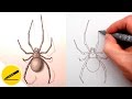 How to Draw a Spider Step by Step - Drawing Tutorial Video