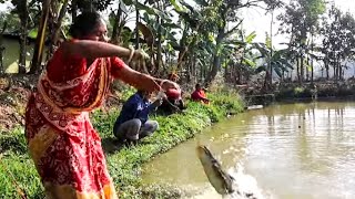 Fishing Video || Fishermen are happily fishing in the village pond || Traditional hook fishing