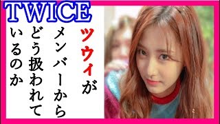 TWICEツウィがメンバーからどう扱われてるのか