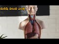   intresting factstrendingsmgl facts telugu