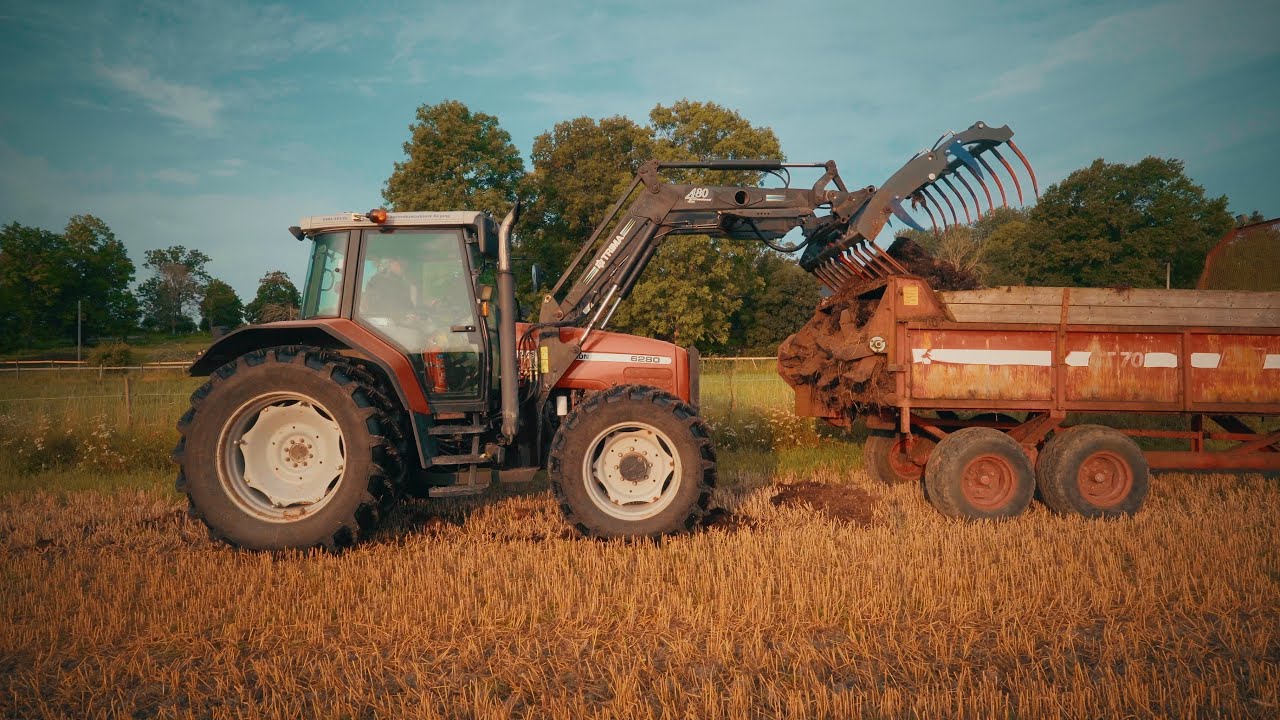 Brunt guld och vita ägg | Livet som månskensbonde i Uppland 🐔🐄🐏