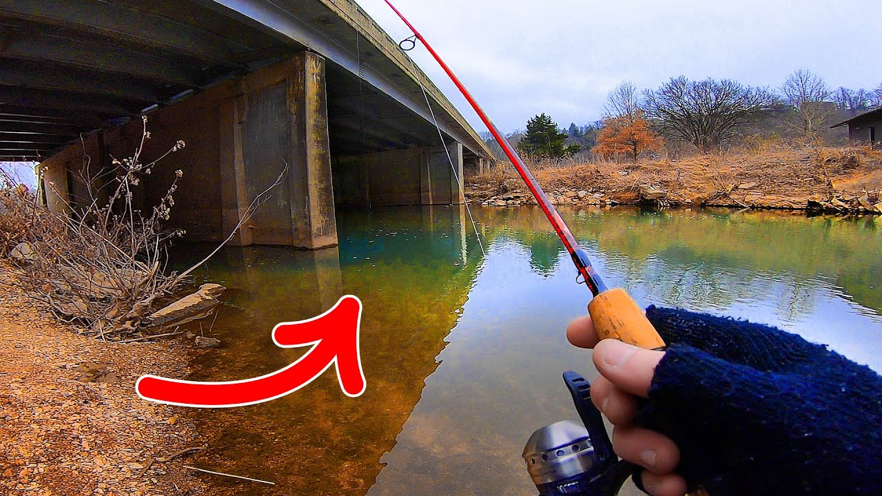 Locating Creek Fish with Berkley Cherrywood (Trout Magnet