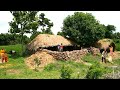Village life of poor people in india  natural life style in uttar pradesh  real life india