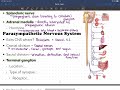 Autonomic Nervous System Part 2