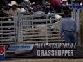 Wrangler Bull Riders Only - Best of Final Rounds