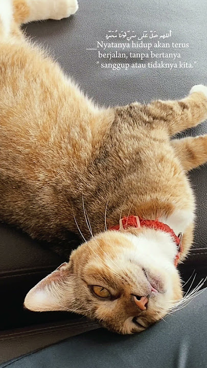 KALA ADZAN - Acha Septriasa, Irwansyah #music #achaseptriasa #irwansyah #ramadhan2025