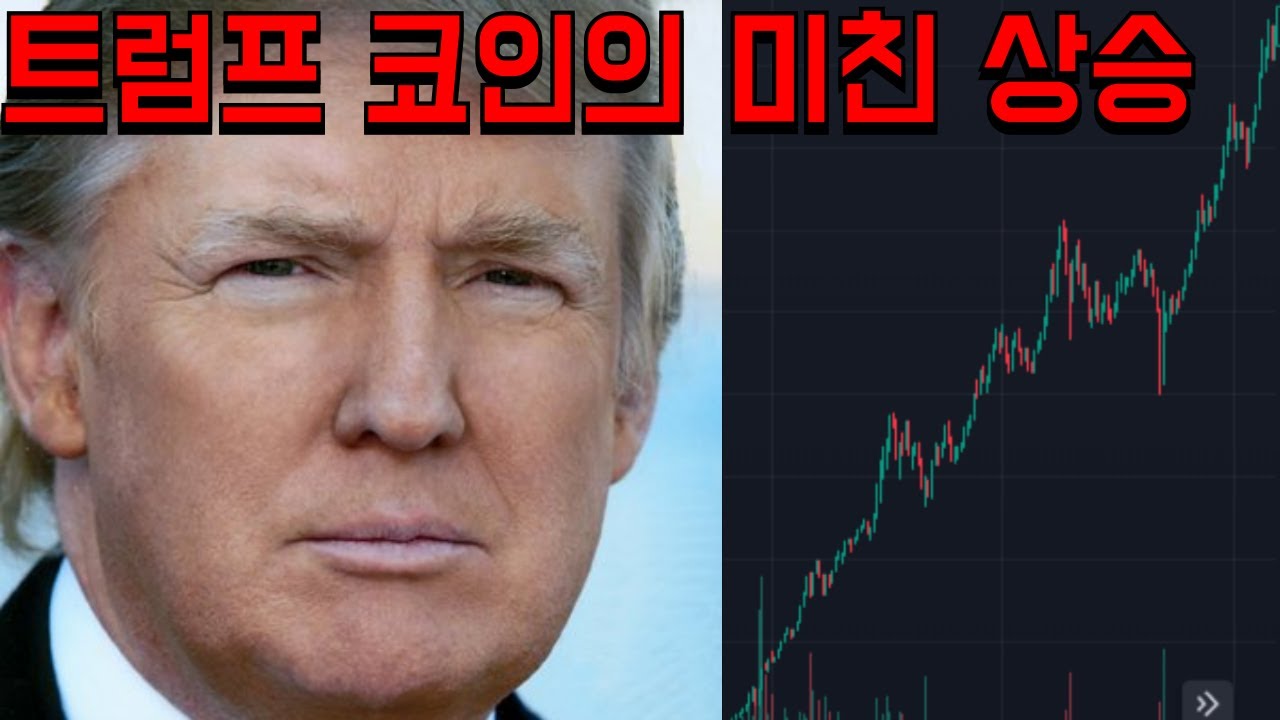 도널드 트럼프 공식 밈코인 출시 / 코인 구매 및 판매 방법 - YouTube