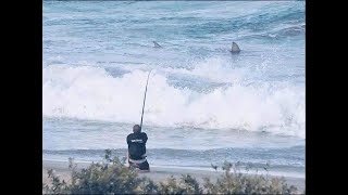 Poco Cedillo. The True Story of the 14' Hammerhead. Texas Land