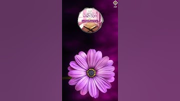 فضل قراءة سورة الكهف يوم الجمعة